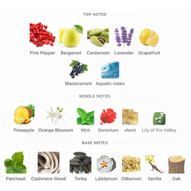 Swiss Arabian PATCHOULI 01 - Image 2
